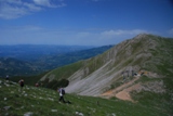 Clicca qui per vedere l'immagine in dettaglio
